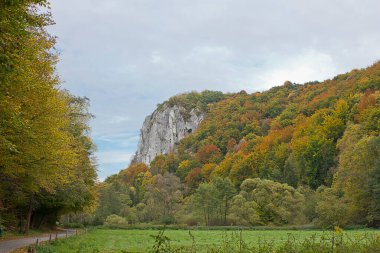 Sonbahar manzarası. Sonbahar ormanında bir kaya