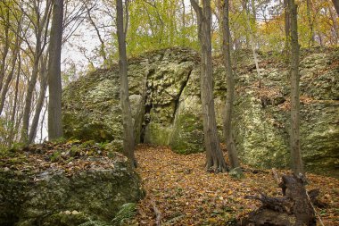 Ormanda resimli kayaların olduğu sonbahar manzarası. Polonya 'nın Doğası