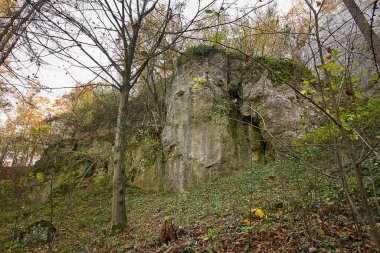 Ormanda resimli kayaların olduğu sonbahar manzarası. Polonya 'nın Doğası