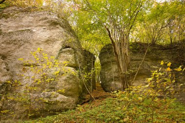 Ormanda resimli kayaların olduğu sonbahar manzarası. Polonya 'nın Doğası