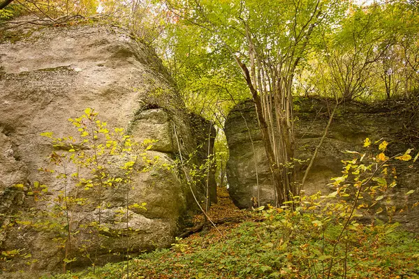 Ormanda resimli kayaların olduğu sonbahar manzarası. Polonya 'nın Doğası