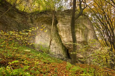 Ormanda resimli kayaların olduğu sonbahar manzarası. Polonya 'nın Doğası