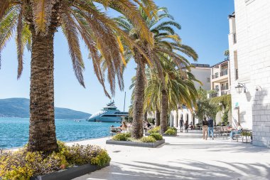 Adriyatik Denizi 'nde palmiye ağaçları olan bir gezinti alanı. Karadağ 'ın Tivat tatil beldesi