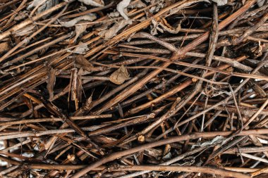 kahverengi ahşap çipler arka plan dokusu