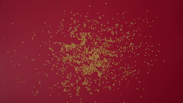 干辣椒的红色背景设置种子 帕西拉和瓜吉罗墨西哥香料平铺 — 图库视频影像