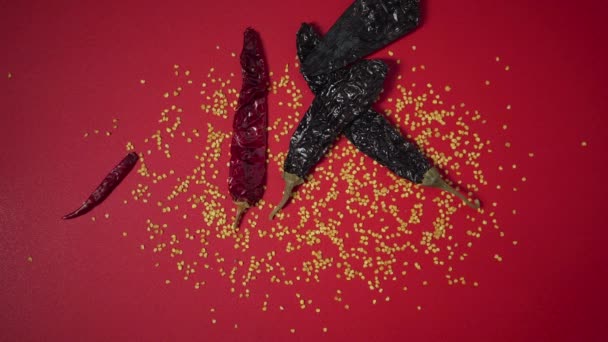 墨西哥辣椒和辣椒种子一起扔在红色的表面 — 图库视频影像