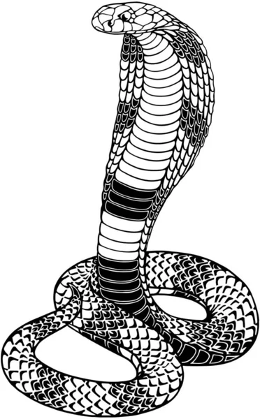 円形の輪郭のコブラの蛇 ラインアート スケッチスタイル タトゥー プリント デザイン 装飾要素 — ストックベクタ