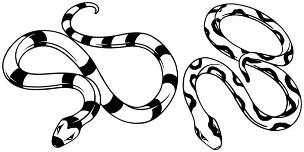 Stylized Small Contour Snakes Line Art Sketch Style Tattoo Print — Stock Vector