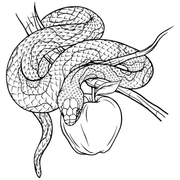 Serpiente Estilizada Contorno Una Rama Con Manzana Símbolo Tentación Línea — Vector de stock