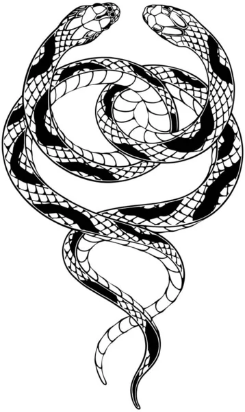 Stylized Contour Snakes Line Art Sketch Style Tattoo Print Design — Stock Vector