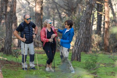 Doğa, doğa yürüyüşü ve mutlu son sınıf arkadaşları ormanda komik şakalara gülüp kaynaşıyor. Mutluluk, eğlence ve bir grup yaşlı insan ormanda sağlık, sağlık ve egzersiz için birlikte yürüyorlar..