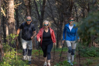 Yürüyüş sopalarıyla üç hevesli kıdemli yürüyüşçü ormanda canlı bir orman yürüyüşüne çıkıyorlar, takım çalışması ve açık hava macerasının keyfi. Doğanın tadını çıkarıyorum. Emekliliklerinde iyi vakit geçiriyorlar.. 