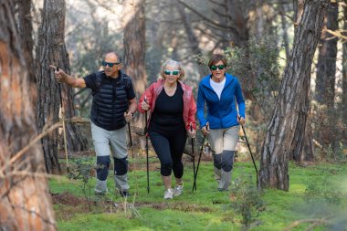 Üç yaşlı arkadaş Trekking Polonyalıları ile dağa tırmanıyor, doğru yolu gösteriyorlar. Canlı bir ormanda doğa ile aktif olarak uğraşırken keyifli bir yürüyüşün tadını çıkarıyorum. Yatay