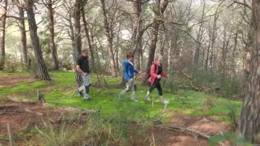 Bir grup kıdemli arkadaş ormanda yürüyüş çubukları ile yürüyor, İskandinav yürüyüşü yapıyor ve sağlık eğitimi alıyorlar. Yavaş çekim, takip çekimi, yan çekim..