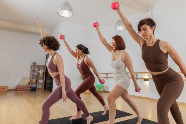 Güçlü ve odaklanmış kadınlar grup antrenmanı sırasında pembe topları kullanarak pilates ve fitness esinlenerek hareket ederler. Sağlıklı yaşam tarzı ve fonksiyonel çalışma. Yan görünüm, Yatay, Kopyala.