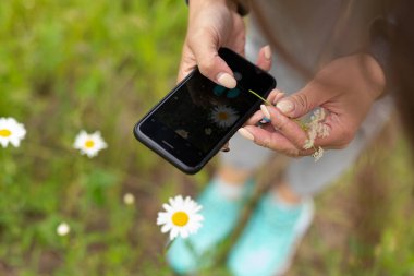 Telefonlu bir kız yazın papatya resmi çekiyor. Telefondaki fotoğraf, telefondaki kamera. Bir arkadaşla yaz yürüyüşleri.
