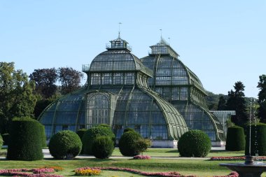 Schonbrunn 'da büyük, güzel bir palmiye serası. Palmenhaus Schonbrunn 