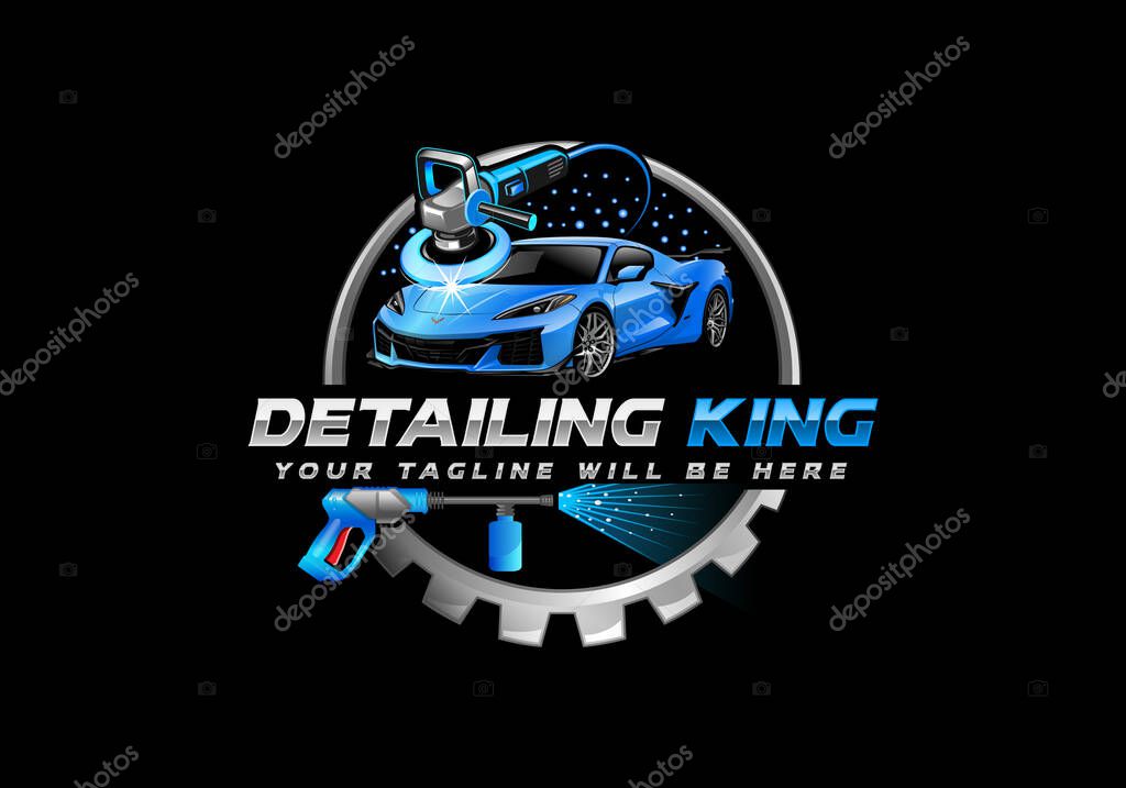 Car detailing logo auto detailing logo car polish logo car service logo car wash logo car cleaning logo vector