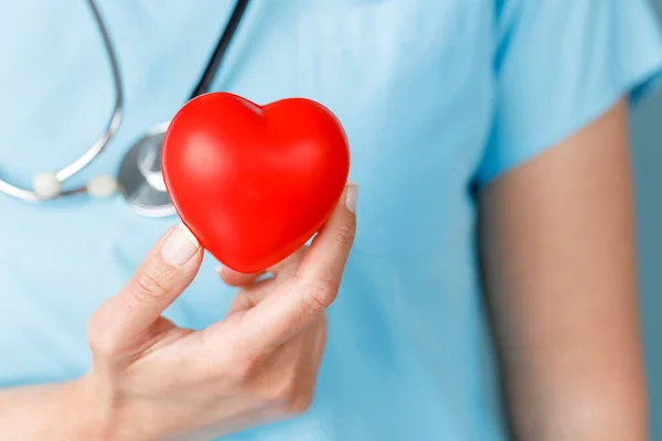Medicine doctor holding red heart shape in hand, medical concep
