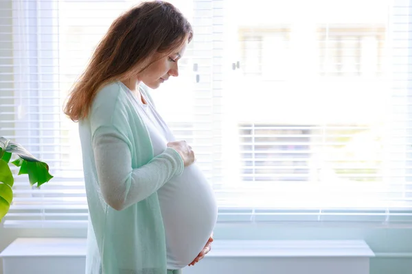 幸せな妊娠中の若いです女性タッチ彼女の妊娠中の腹と立ちますザ ウィンドウ — ストック写真