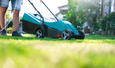 Güneşli bir günde arka bahçesinde çim biçme makinesiyle çim biçen genç adam.