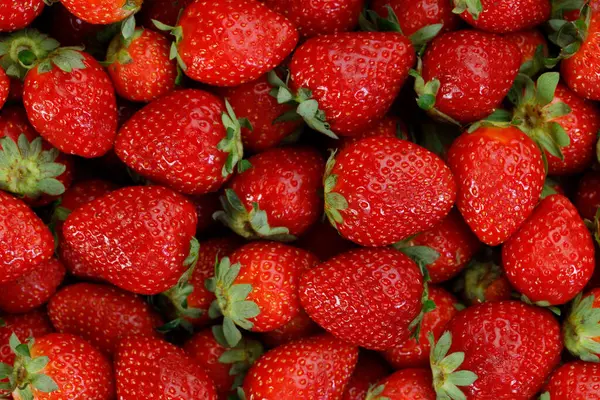 新鲜草莓作为健康食品概念的背景介绍 图库图片