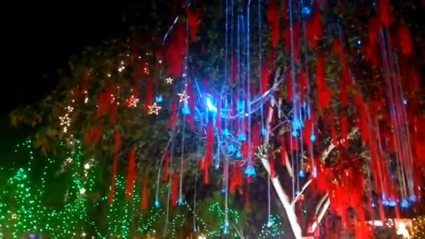 Wonderland Lights Multi Colorful Lantern Festival Decorations Lunar New Year — Wideo stockowe