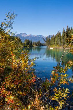 Banff Ulusal Parkı 'nda nehir kıyısında dağ yansıması.