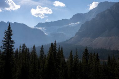 Banff Ulusal Parkı 'nda orman üzerindeki buzulun yamacında.
