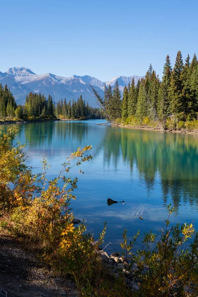 Λυγίσει Ένα Ποτάμι Μέσα Στο Εθνικό Πάρκο Banff — Φωτογραφία Αρχείου