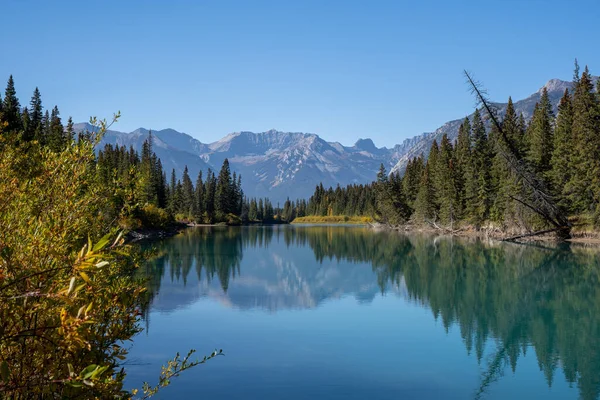 Banff Ulusal Parkı 'nda nehir kıyısında dağ yansıması.