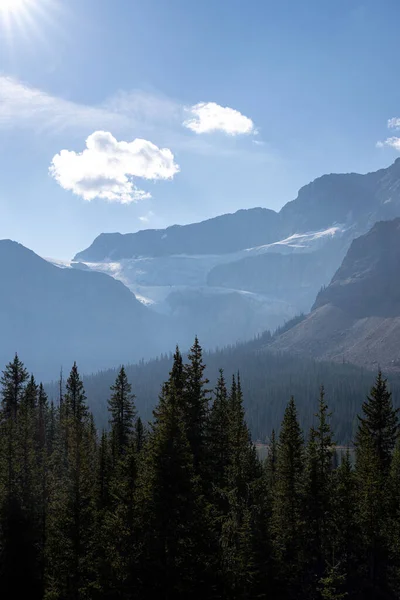 Lodowiec Górski Parku Narodowym Banff Nad Lasem — Zdjęcie stockowe