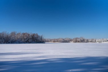 Donmuş bir göl boyunca, sahilde ağaçlarla açık karlı bir manzara.