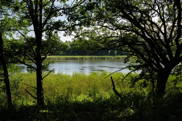 Göldeki Ağaçlık Patikadan Gelen Sulak Göl Manzarası — Stok fotoğraf