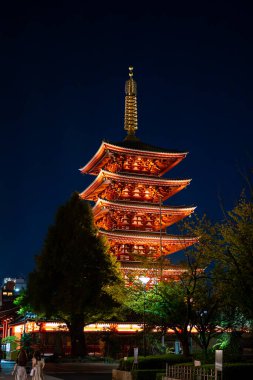 5 katlı Pagoda, Asakusa Tokyo Japonya 'da gece aydınlandı.