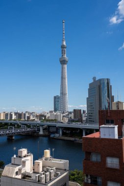 Gündüz vakti Sumida Nehri 'nin karşısından Tokyo gökyüzü ağacı.