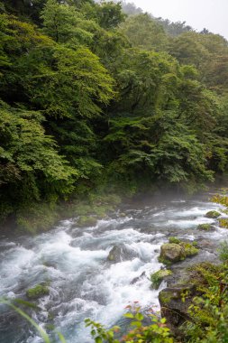 Sisli bir günde nikko japan 'daki Daiya nehrinde akıntılar