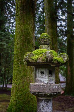 Japon tapınağının dışındaki yosun kaplı taş fener.