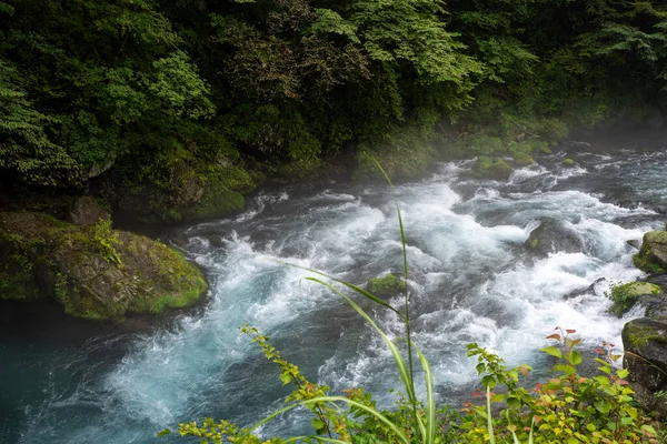 Sisli bir günde nikko japan 'daki Daiya nehrinde mavi akıntılar