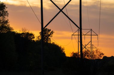 Orman parkında günbatımında yüksek voltajlı elektrik hatları