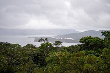 Sisli bir göle ve ormanlı tepelere bakan.