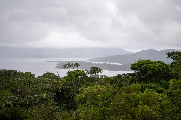 Sisli bir göle ve ormanlı tepelere bakan.