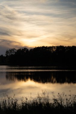 Altın gün batımı sakin bir göle yansıyor, siluetli ağaçlar ve otlarla.