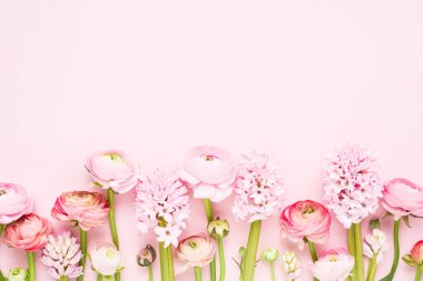 Pink ranunculus and hyacinths on a light pink background. Mothers Day, Valentines Day, birthday concept. Copy space for text
