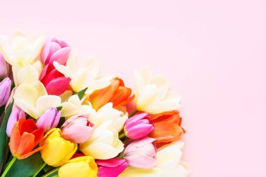 Pembe arka planda renkli laleler. Anneler günü tebrik kartı. Boşluğu kopyala, üst görünüm