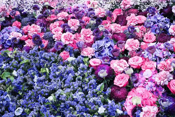 Krásné Květiny Pozadí Pozadí Růžových Růží Hortenzií Pohled Shora Blahopřání Royalty Free Stock Obrázky