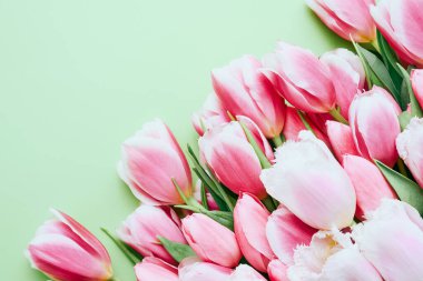 Açık yeşil arka planda pembe laleler. Anneler günü, sevgililer günü, doğum günü kutlaması konsepti. Tebrik kartı. Boşluğu kopyala, üst görünüm