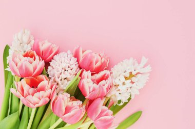 Pembe arka planda parlak pembe laleler ve beyaz sümbüller. Anneler günü, sevgililer günü, doğum günü kutlaması konsepti. Boşluğu kopyala, üst görünüm