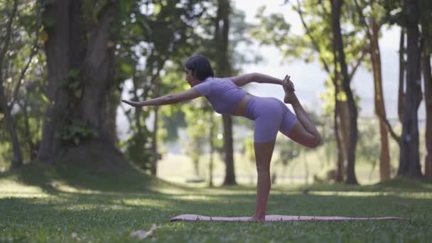 Asiatisk Kvinde Gør Yoga Haven Udøve Begrebet Livsstil Fitness Godt – Stock-video
