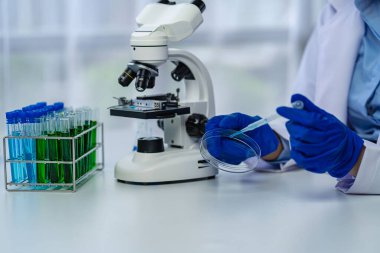 Biyoloji ya da mikroskop ile cam tüpte kimyasal sıvıyla tıp laboratuvarı teknolojisi araştırması yapan bilim adamı. Laboratuvarda..